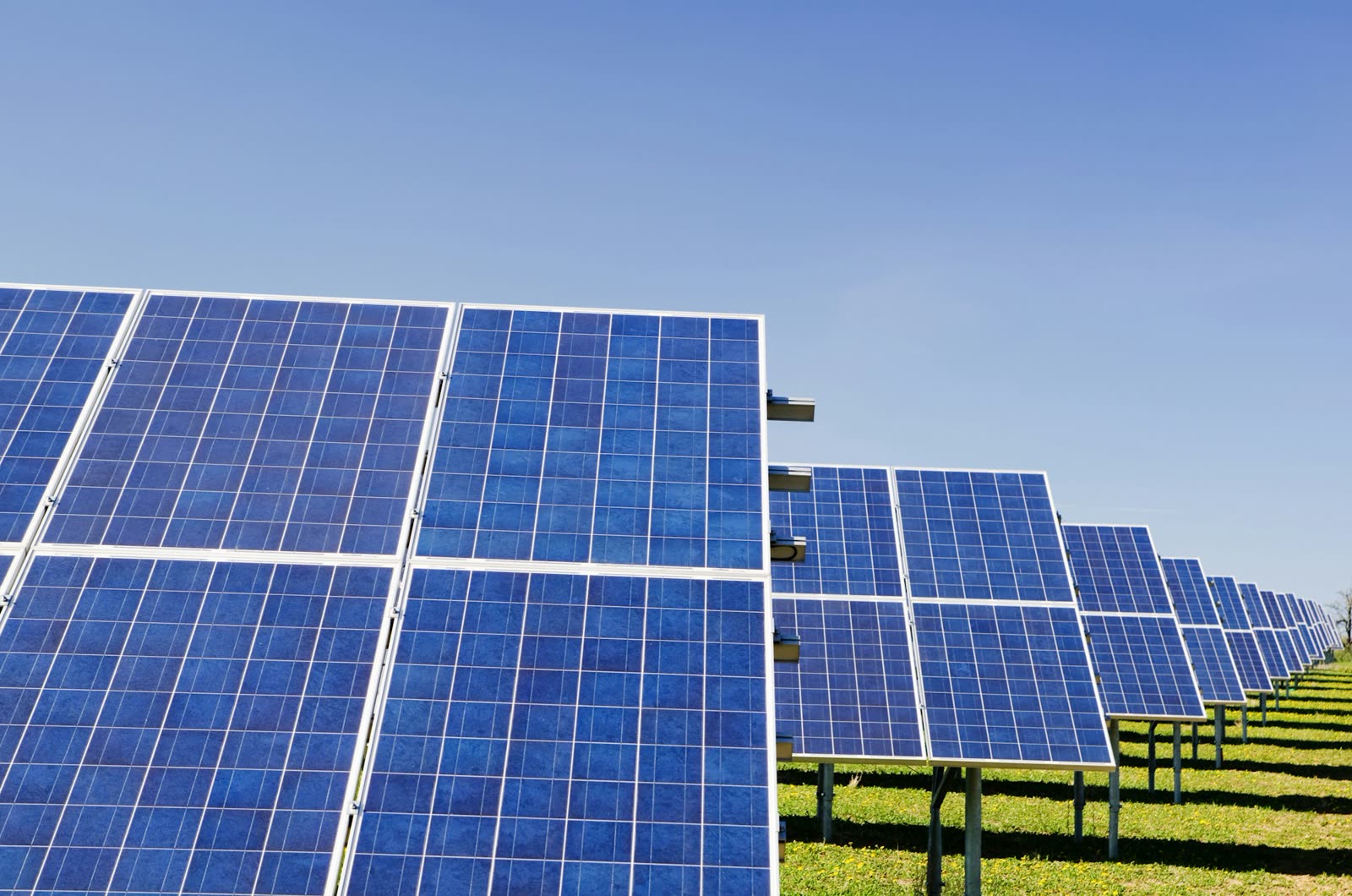 Solar panels under a clear sky